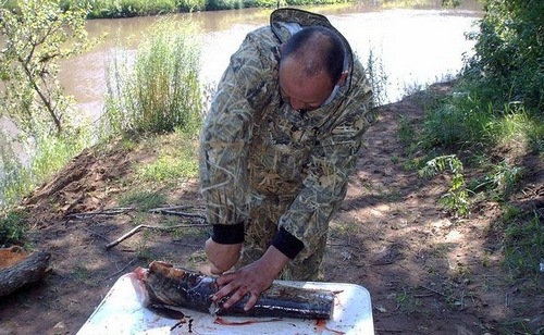 Отличный сом