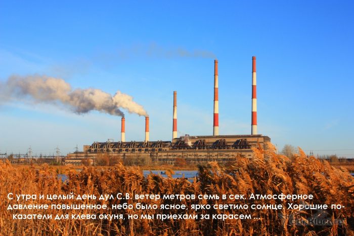 Середина ноября, карпы вместо карасей
