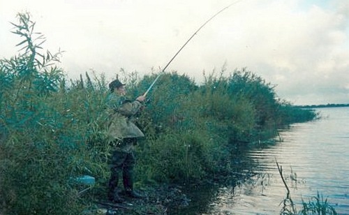 Кобылинский пруд, д.Смирновка