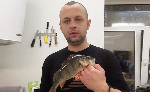 Знатный полосатик