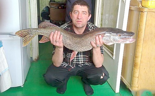 На реке Туре