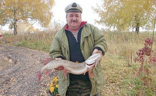 Щуки к осени стали клевать гораздо активней