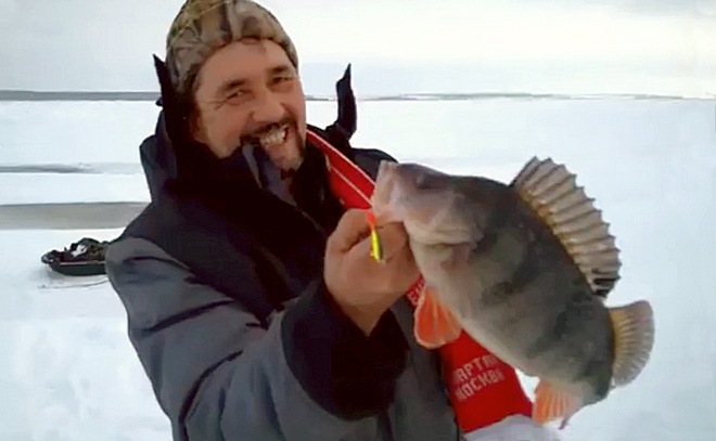 Большой окунь  Белого Яра
