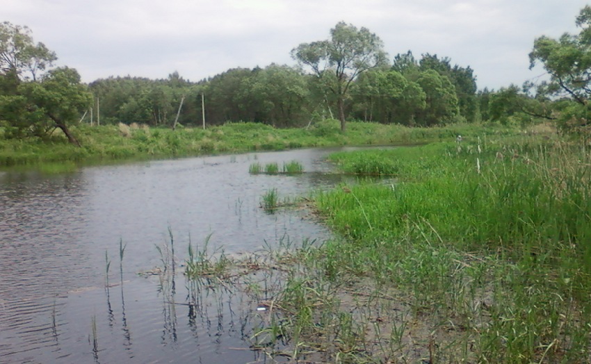 О рыбалке на Угличском водохранилище