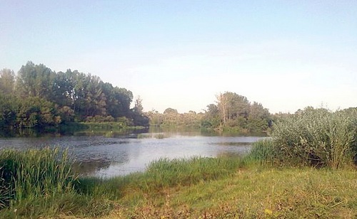Перетяг в августе