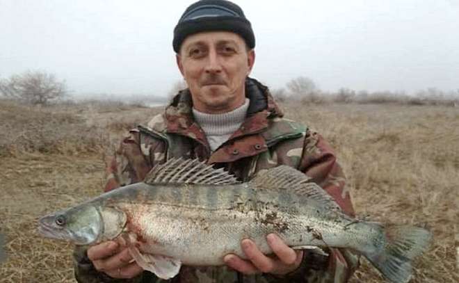 Судак 2 кг 170 гр