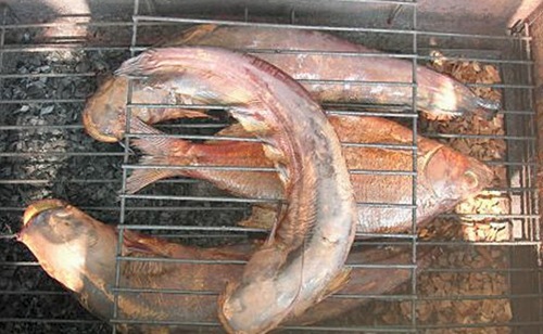 Сомики