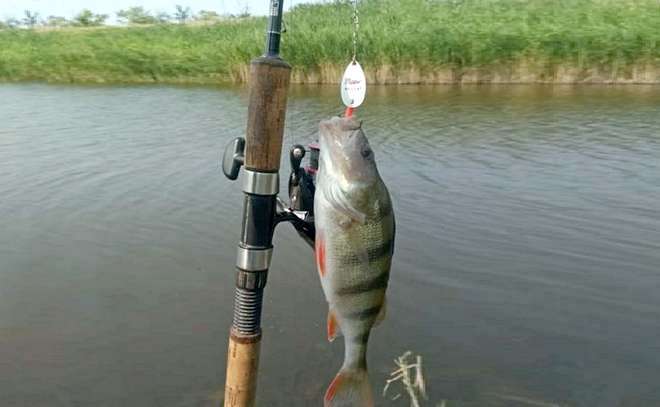 Три рыбалки в один день