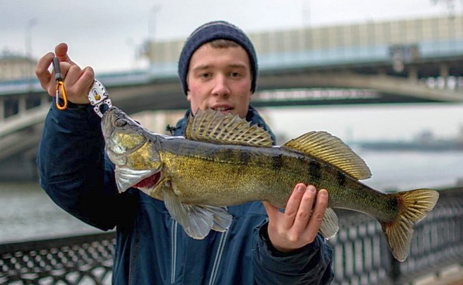 Streetfishing и трофейный судак