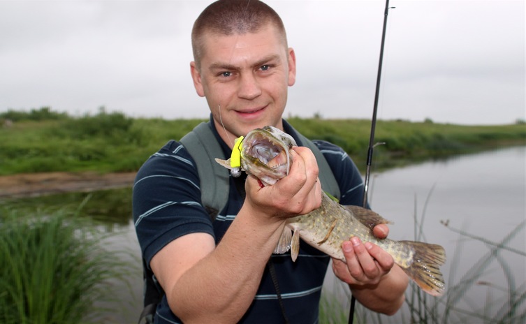 И снова поймал – отпустил.  Неман 2012.