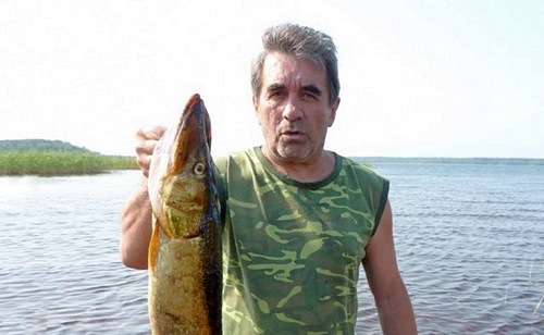 На Ладоге рыбы нет!