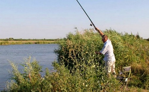 Курьёз на Прорве