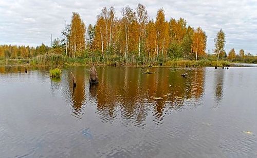 Маскот в бою!