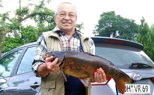 Карп зеркальный