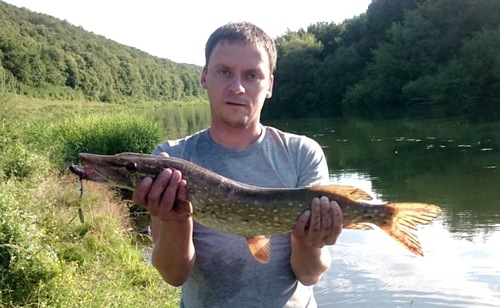 И снова Красивая Меча