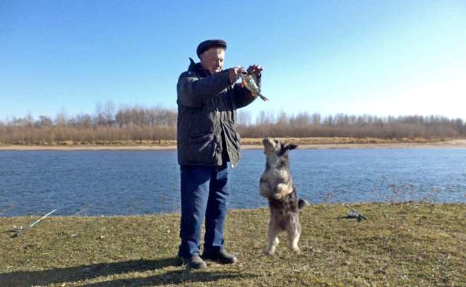 А по земле гулял октябрь