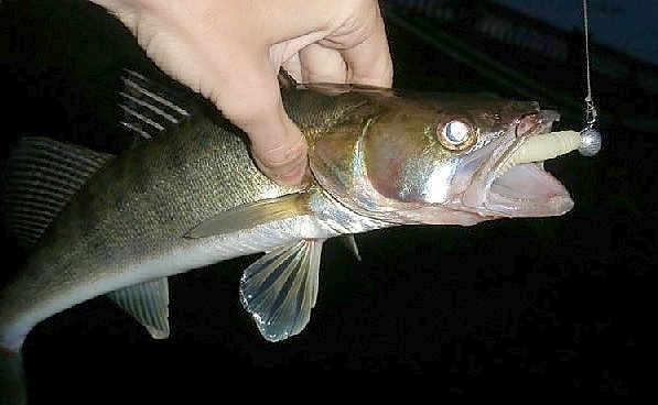 Night Fishing