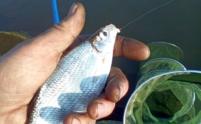 Рыбалка на Сорочинском водохранилище