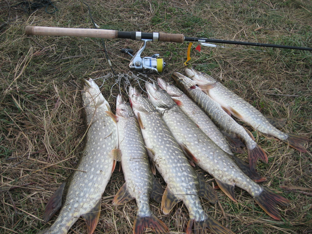 Kola Spinning IM-6 2,55 m, 4-16 гр.