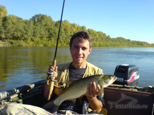 Спиннинг St.Croix Avid AS76MLF2