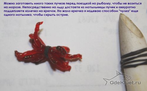 Пучок мотылей в колечке ниппеля