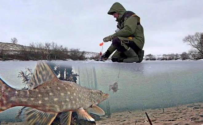 Щука в позе атаки, или Зимняя рыбалка под водой