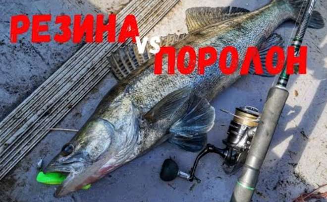 Резина или поролон? Судак на джиг в корягах.