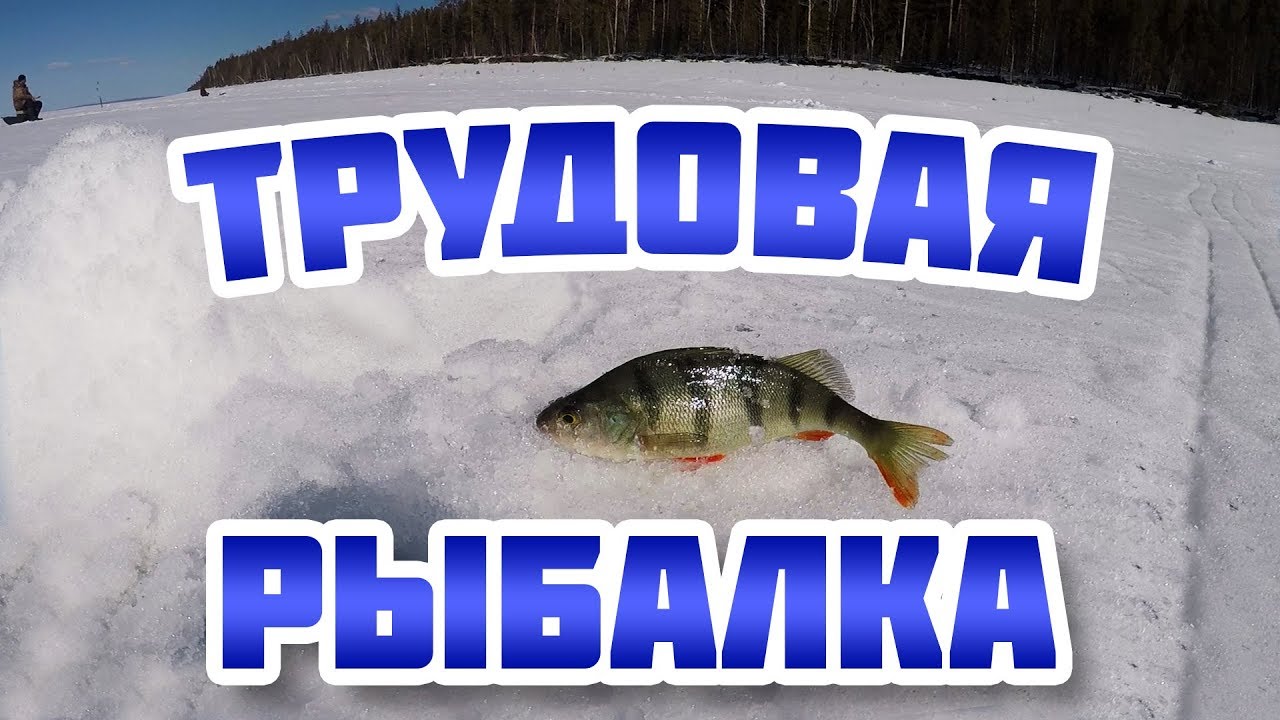 Весенняя рыбалка на окуня