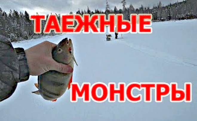 Таежные монстры атакуют!