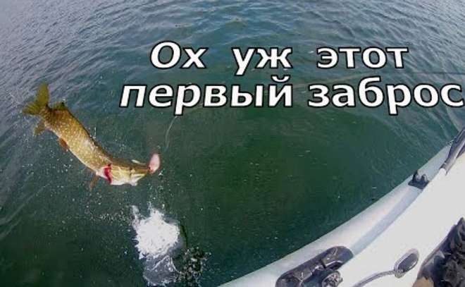 Закрываем июль. Ловля щуки,окуня.