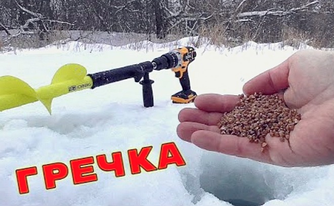 Обычная гречка творит чудеса! Реакция рыбы! Подводная съемка.