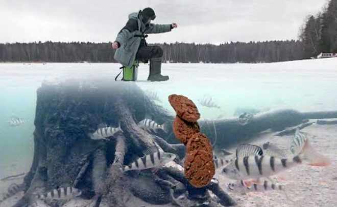 Опустил под лёд шоколадное печенье. Подводная съёмка.