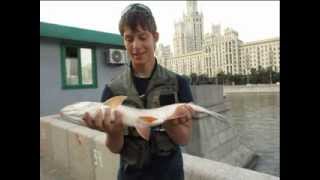Видео от Streer Hunters Team&nbsp; часть9