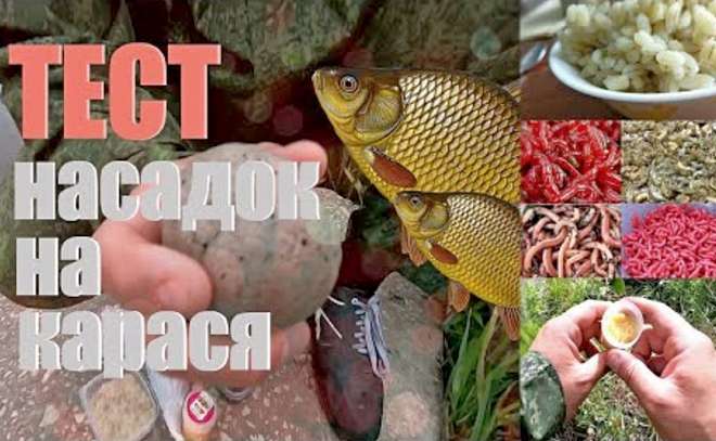 Тест насадок на карася. Лучшие насадки для рыбалки.