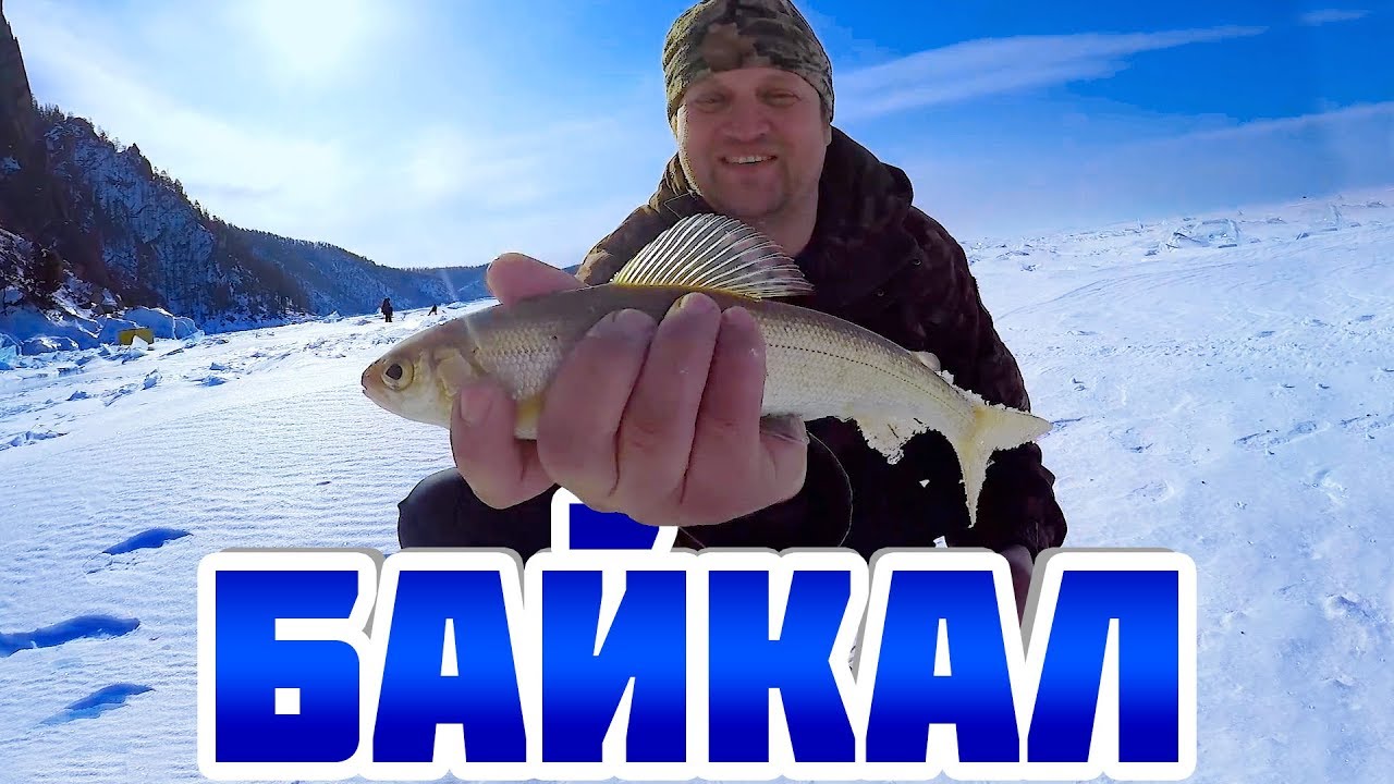 Байкальский экспромт с хариусом