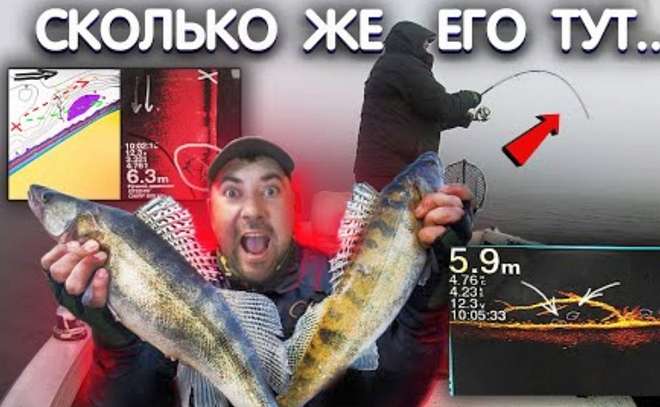 Накосил судака с одной точки. Жор судака осенью.
