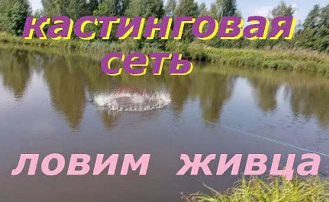 Кастинговая сеть (4.2 метра) для ловли живца. Покупка  и тест.
