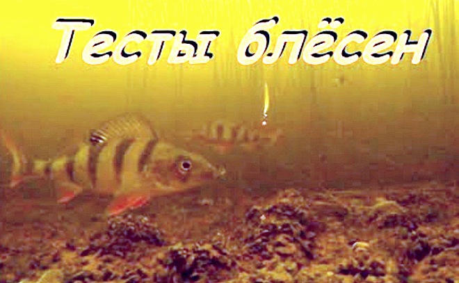 Ловля спортивного окуня на блесну. Подводная съёмка.