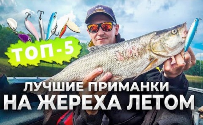 Топ-5 приманок для ловли жереха летом