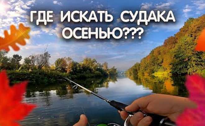 Рыбалка на судака в сентябре. Где искать рыбу осенью?