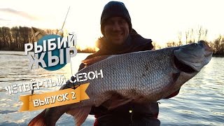 Весна 2017. Астраханская область. Трофейный жерех.