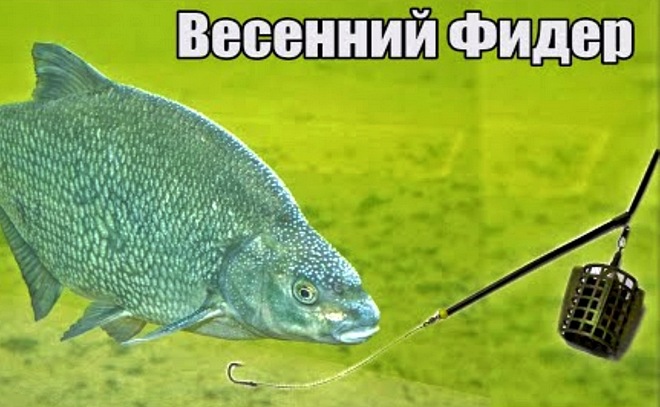Лучшая рыбалка в мае на фидер на Волге. Лещ!