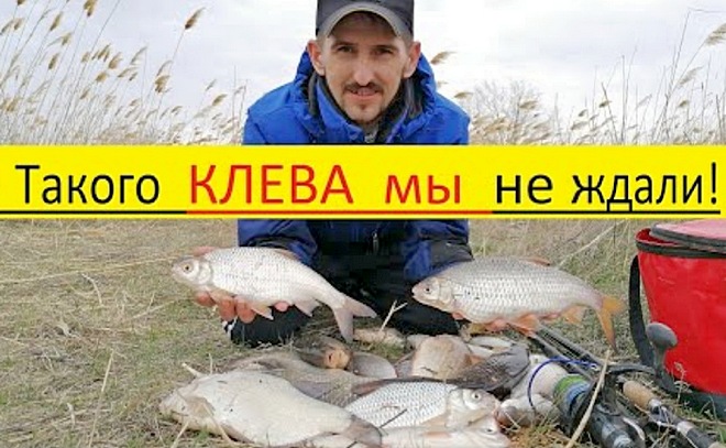 Рыбалка на фидер. Веселовское водохранилище.